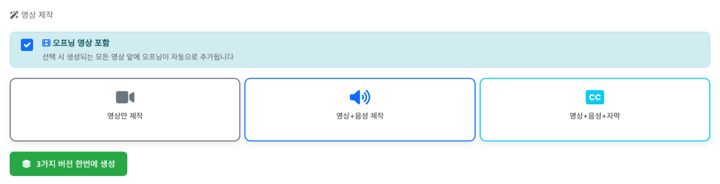 영상 생성 옵션